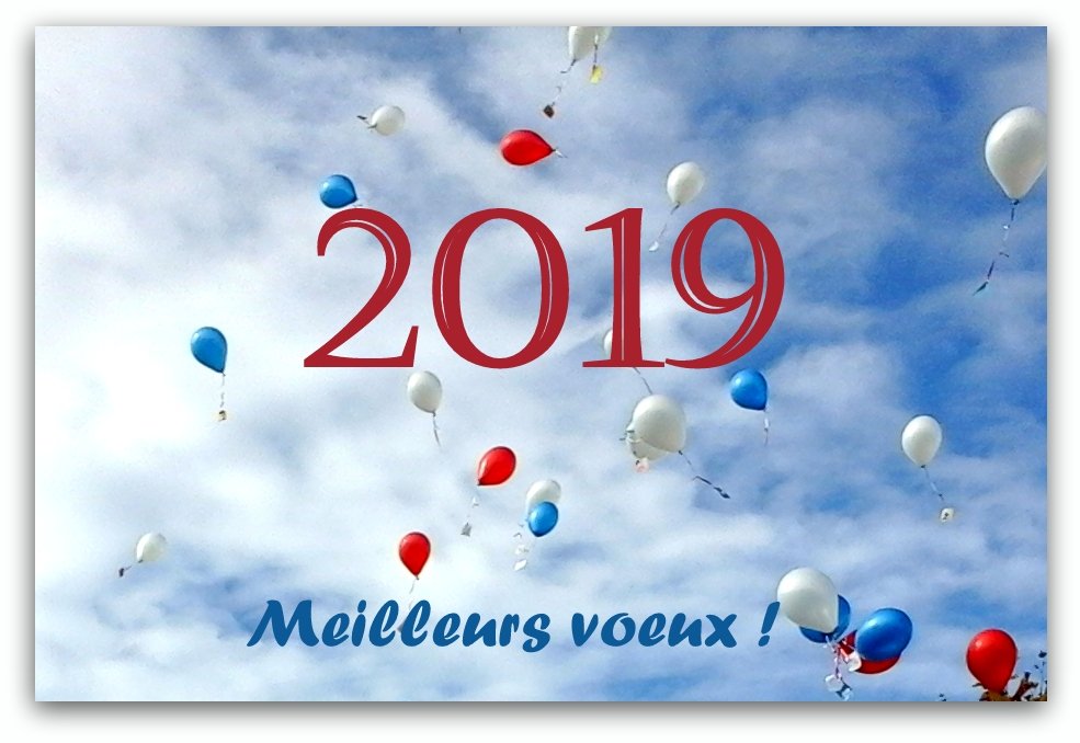 Bonne année 2019!